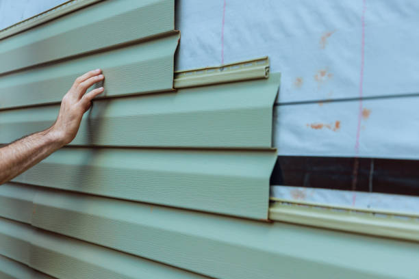 Best Insulated Siding Installation  in Prairie View, TX